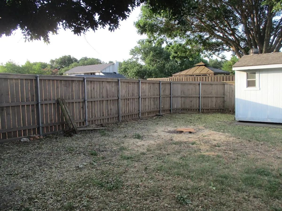 Cleared yard after professional tree removal in Cobbtown